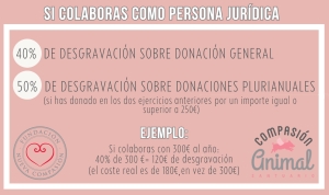 Desgravaciones personas jurídicas