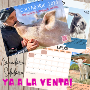 Calendario solidario 2025